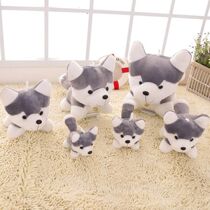 Haschic paparazzi Erha Mao suede toy pooch cute doll big sign to send boy girls birthday present