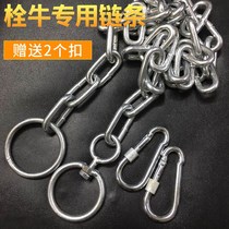 Galvanized chain iron chain bolt cow chain dog chain dog lotus seed bold cattle chain hanging sandbag chain 6mm8mm