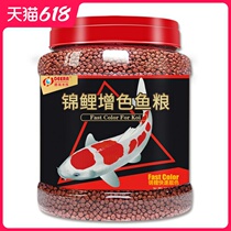 Fish food koi fish feed goldfish floating up into ornamental fish fish fish food color and color enhancement of general purpose fish grain small particles