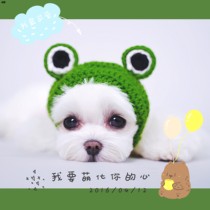 Pet dog frog headgear cute accessories Net red Photo Teddy band bear headdress cat decoration hat