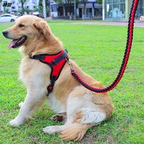 Horse dog leash leash herd dog belt Shiqi chest strap medium and large dog collar walking dog artifact