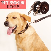 Dogs traction rope chains Sub-small and medium large canine fights Deed Shepherd Mao walking dog ropes