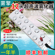 12 Head Ultrasonic Atomization Board Pool Fish Pond Fake Mountain View Foisting Machine twelve Head Mister Mist Spray