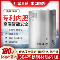 Steam Generator Commercial Energy Saving Steam Engine Vintage Tofu Boiler Cooking Soy Milk Steamed Buns Gas Steam Boiler