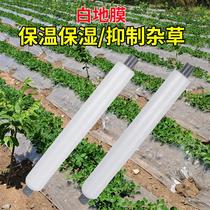 White film agricultural white film heat preservation and moisturizing vegetable greenhouses planting grass-resistant plastic film pull-resistant plastic film