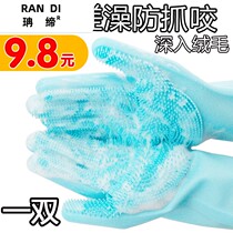 Pooch Bath God Instrumental Kit Brush Golden Hair Dog Wash Puppys groceries Combed Pet Gloves