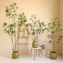 Wabi-sabi wind horse drunk wood simulation plant fake tree living room potted green plant large-scale floor-to-ceiling decoration indoor homestay decoration