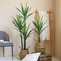 Thai ring sword leaf dragon blood tree simulation tree fake plant potted large bonsai home living room floor decoration