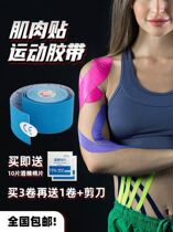 Reduce soreness hand tear ankle protect ligament widen non-elastic performance muscle stick basketball dance injury athlete