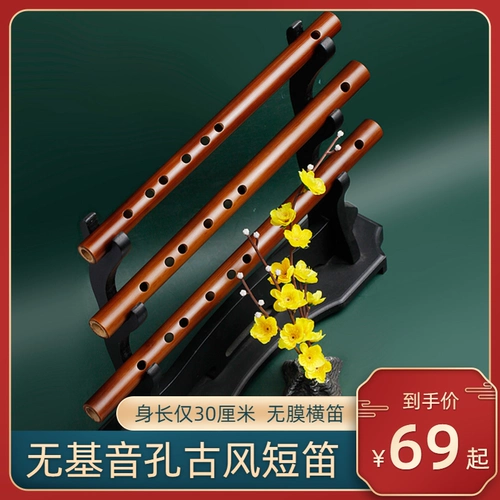 Переносные музыкальные инструменты для детей и взрослых для начинающих