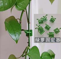 Green Ole Climbing Wall God GREEN BASKET FIXED CLIMB TO FIXED CLIP CLIMBING HOOK GREEN ROO CLASP NO-MARK GREEN PLANT FIXER