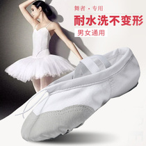 Children dance shoes women soft lian gong xie Princess yan chu xie ballet zu jian xie boys cats claw dance shoes for women