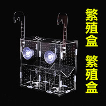 Kaxi acrylic fry breeding box Guppy hatching box Isolation box Juvenile isolation box