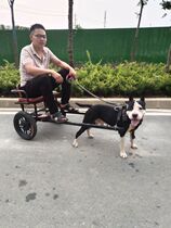 Shopping cart Animal pull goods Elderly dog stroller Autumn trumpet new product scooter Dog pull supplies thickened