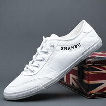 Sails shoes mens one foot pedal casual mens shoes Summer breathable 2022 new board shoes mens little white shoes 100 hitch