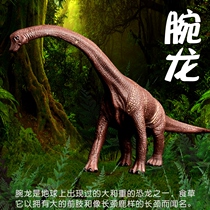 Lin Chang Model Play Jurassic Dinosaur Brachiosaurus Big Children Simulation Model Set Toy Animal Tyrannosaurus Boy
