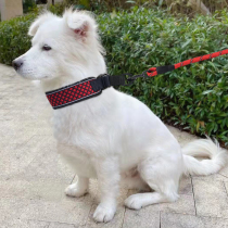 Walking Dog Traction Rope Kitty Dog Chain Sub small and large dog p rope net red Pet entry ring teddy gold wool explosion protection