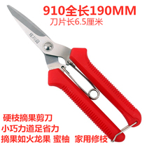 Fruit picking scissors Grape pruning special scissors Pepper artifact Flower branch pruning knife Dragon fruit wolfberry