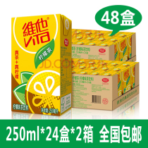 Vita Milk Vita Lemon Tea 250ml*24 boxes*2 boxes Whole box Lemon flavor Black tea drink Drink 