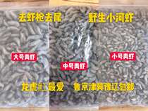 Frozen fresh small river shrimp green shrimp white shrimp fish feed shrimp to head prawn segment dragon tiger stingray feed fish food