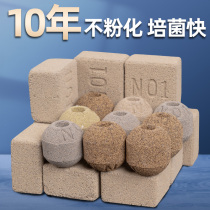 Fish tank filter material Taiwan no1 built-in bacterial House biochemical NanoSphere nitrifying bacteria NanoSphere bacteria NO1