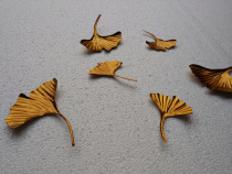 European creative ginkgo leaf metal wall decoration hotel model room Iron European home wall wall decoration