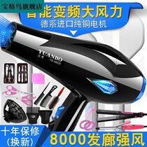 Hair dryer household negative ion hair care mute high-power hot and cold air does not hurt the hair net red hair dryer dormitory use