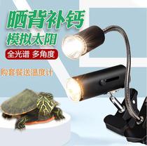 Tortoise Sunback lamp crawling pet uvb lamp turtle calcium supplement lamp sun lamp heating lamp clip lamp holder clamp lamp set