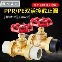 PPR copper globe valve Double Hot melt 2025 copper ball gate valve 4 6 points PE water pipe valve switch accessories