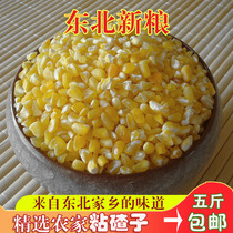 Northeast farmers sticky sticky glutinous big ballast corn ballast bract rice ballast Corn grits Corn grits big ballast porridge five pounds of pure