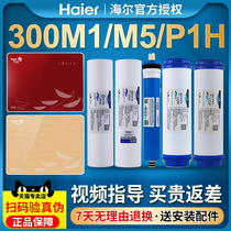 Haier Strauss Water purifier filter HSNF300M1 HSNF300M1 M5 M5 B1 B5 B5 P8 Nfilter Wisdom Net Whale Suit