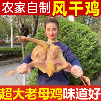 Liyang specialty air-dried chicken salted chicken farmers homemade rural free-range chicken marinated whole bacon chicken 2 kg weight