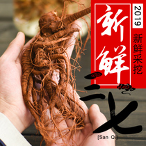 Hometown Wei Yunnan Wenshan Sanqi 2020 New Grade Fresh Digged Field Seven Chinese Medicinal Materials Sliced Wine