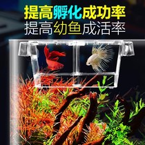 Fish Tank Isolation tank tank tank fish fry incubator viviparous fish tropical fish breeding ovipositor guppies breeding box