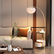 Feather landing lights Fishing lighting living room light luxury plastic frame double tea several bedroom bedside bedside cabinet one vertical table lamp