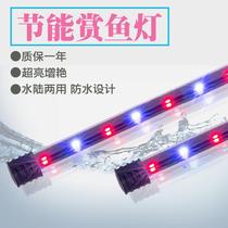 led waterproof light Fish Tank Aquarium diving water grass lighting equipment super bright water colorful light tri-color light