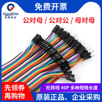 Macro-TuDupont DuPont Line 2 54 Commits to the mother to the mother-to-mother-to-40P-copper color flat cable 10-40cm