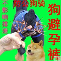 Bitch anti-mating artifact contraceptive husky Bomei Schnauer underwear sanitary pants new Satsuma