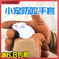 Pet anti-bite gloves hamster golden bear small pet supplies anti-bite scratch protective gloves color