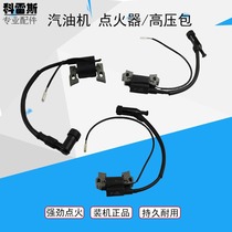 Gasoline engine generator accessories igniter coil 152f168170f190f190f2kw-8kw igniter High Voltage package
