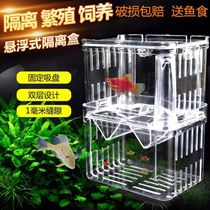 Fish tank incubator breeding box acrylic isolation box incubator box guppies tropical fish ovipositor fighting fish isolation
