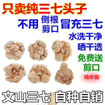 Wenshan Sanqi 20 head 30 head 40 head Sanqi head spring field seven no cut mouth Yunnan 500g generation grinding special powder