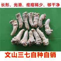 Yunnan Wenshanchun Sanqi 20-30 super imitation wild farm planting Tianqi 500 grams on behalf of grinding fine powder