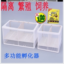 Guppy breeding tank Special fish tank Fish incubator Zebrafish breeding box Fish tank breeding isolation box Breeding tank