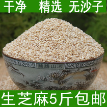Raw white sesame 5kg mountain non-peeling Sesame sesame oil oil can be used as sesame paste non-cooked sesame