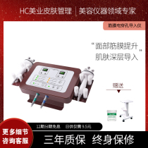 Japan Fascia Electric Perforation 2-in-1 Introduction Instrument Facial Lifting Firming Anti-Aging Management Beauty Instrument Beauty Salon