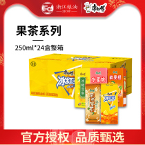 Master Kong Iced Black Tea Jasmine honey tea beverage 250ml * 24 boxes of lemon tea drinks official flagship store