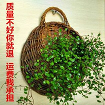 Hanging basket wall hanging flower pot rattan wall decorative hanging basket woven flower pot Wall rattan hanging pot