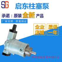 10YCY 25YCY 40YCY 63YCY 80YCY 100YCY 160YCY14-1B Qidong piston pump
