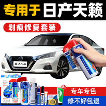 Dedicated to Nissan new Teana paint pen Pearl light white 21 models Thermalite black car scratch repair self-painting